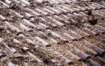 East Knapton roof cleaning companies